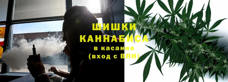 Канабис план  Гусиноозёрск 